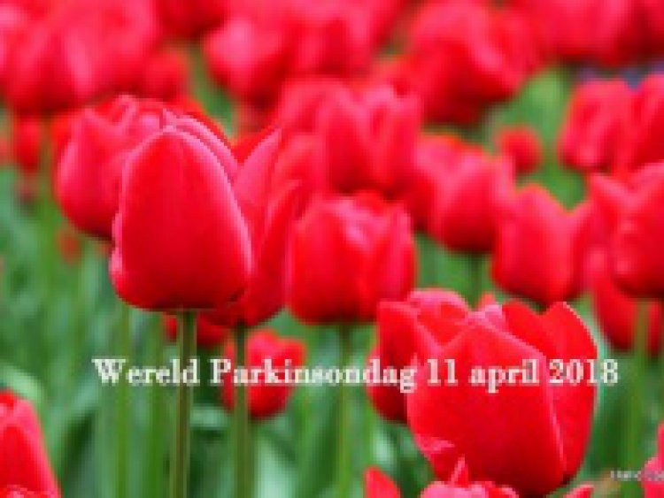 Rond Wereld Parkinson Dag blog 4
