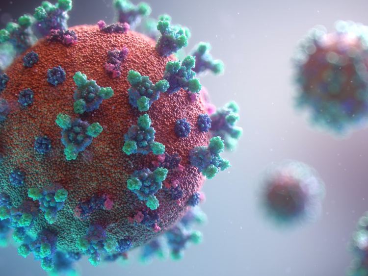 Photo by Fusion Medical Animation on Unsplash   Go to Fusion Medical Animation's profile Fusion Medical Animation @fusion_medical_animation  Visualization of the coronavirus causing COVID-19 Views 7.810.002 Downloads 142.087 Featured in Editorial, Current Events Published on March 12, 2020 Free to use under the Unsplash License New visualisation of the Covid-19 virus